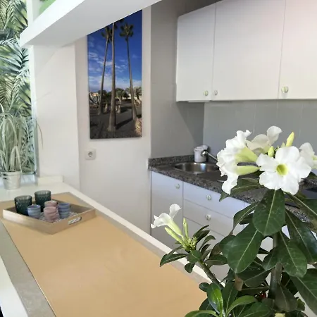 Atlantic Garden Andrew Pool Air Conditioning Holiday home *